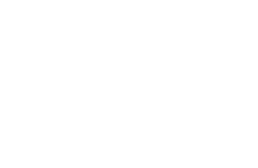 EGR-klep uitschakelen, NOx-sensor uitschakelen, Adlbue uitschakelen, snelheidsbegrenzer, coderingen, car-coding, V-Max begrenzer verwijderen.
